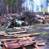 В Рязанской области несгоревшие леса загажены строительным мусором