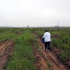 «Зеленый май» защитит Рязань