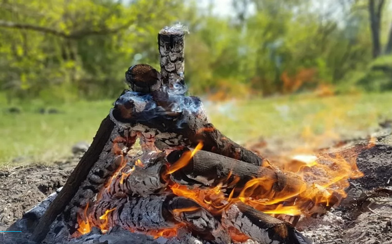 Костер в лесу